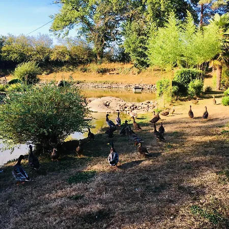 Le Refuge Des Canards