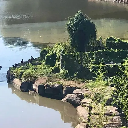 Le Refuge Des Canards Apartamento *
